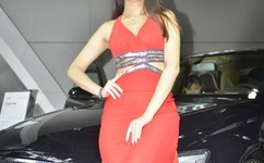 仙王的日常生活樱花